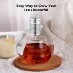 Reinmoson 2 Pack Tea Strainers